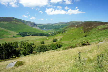 在盛夏的威克洛 Mountains.Ireland.Valley Cloghoge 河