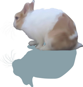 例证与兔子查出的白色背景