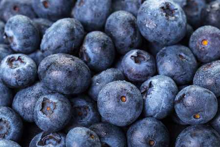 一堆新鲜采摘的蓝莓, 特写