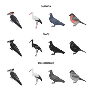 啄木鸟, 鹳和其他。鸟类集合图标在卡通, 黑色, 单色风格矢量符号股票插图