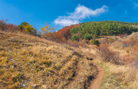 Demerdzhi 山地牧场上的徒步旅行路径在克里米亚半岛秋季