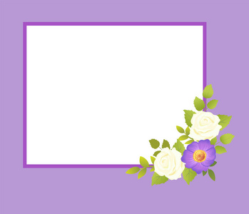 紫色框架白色玫瑰花柔和雏菊