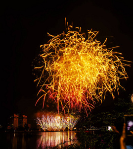 烟花庆祝新年2019