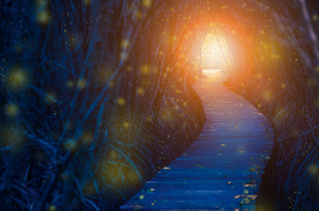 鸡蛋花树隧道光在黑暗的树隧道的尽头.希望与生活照片