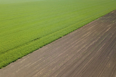 空中视野在农业领域春天时间