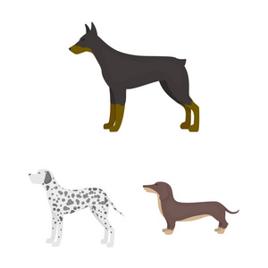 狗滋生卡通图标集收集设计。狗宠物矢量符号股票网页插图