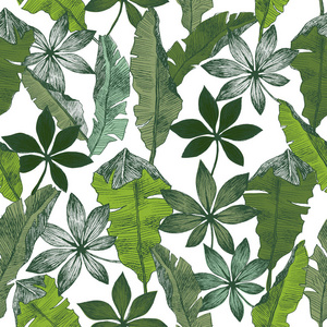 热带植物花卉无缝丛林格局。打印矢量背景时尚夏日壁纸棕榈香蕉叶黑色线条和绿色风格