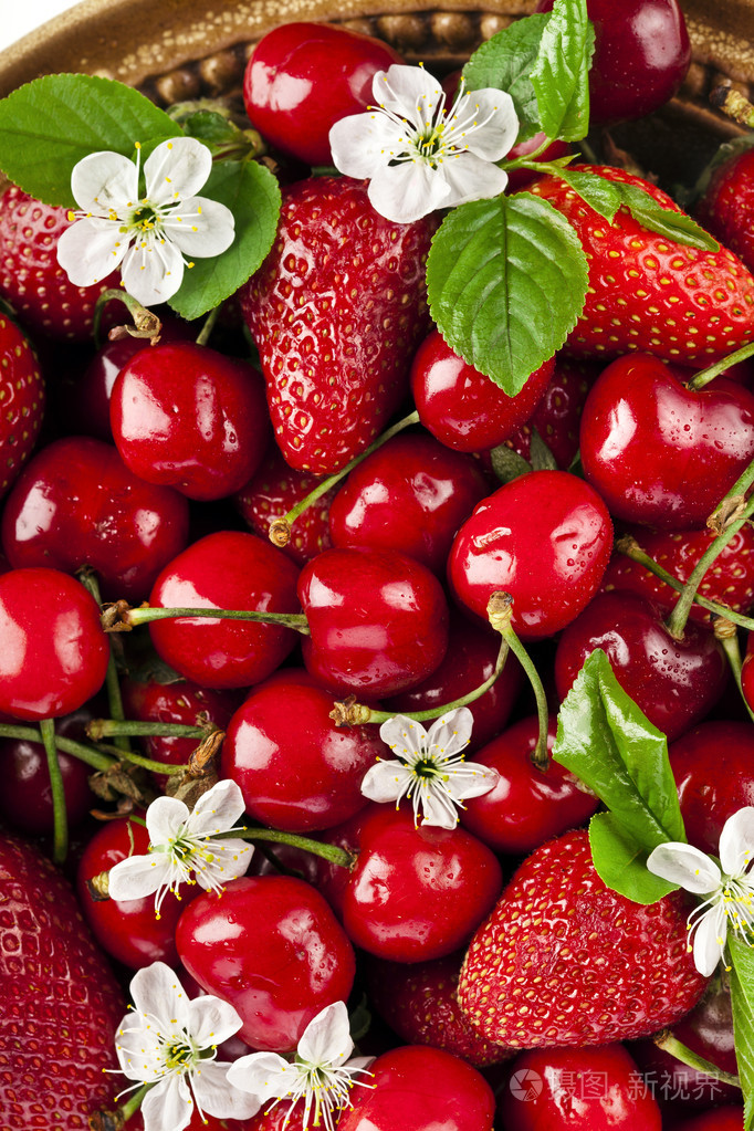 甜樱桃和草莓花