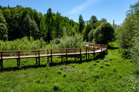绿色草地上的木木板人行道在五颜六色的夏季天气中与树木休息区和太阳光线的旅游小径