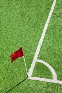 足球或足球场。角旗和白线。垂直布局