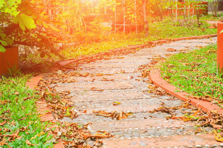 秋季公园干叶下落的石块走道路径 选择聚焦与浅景深