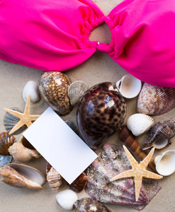假日海滩概念与壳 seastars 和空白明信片