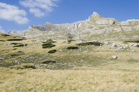 杜尔米托尔黑山