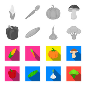 红甜椒, 青黄瓜, 大蒜, 卷心菜。蔬菜集合图标单色, 平面式矢量符号股票插画网站