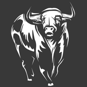 股票市场趋势的公牛图片