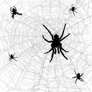 与孤立在白色背景上的蜘蛛网上的插图