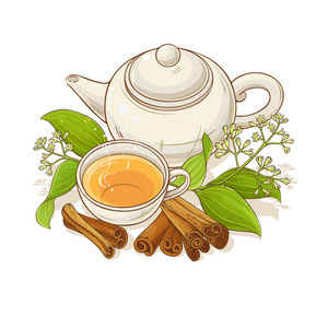 茶壶中的肉桂茶白色背景插图图片