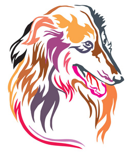 彩色狗牧羊犬的装饰肖像, 不同颜色的矢量插图在白色背景下被隔离