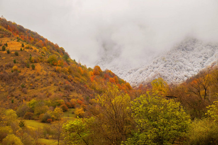 秋天树山前景和雪山背景