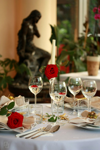 与眼镜和玫瑰餐厅表