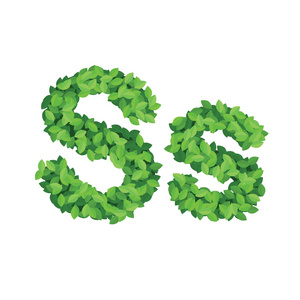 绿色的树叶制成的矢量生态字母表字母 s