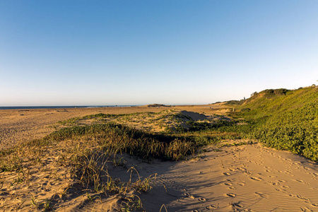 金黄沙子和沙丘植被沿海天际风景