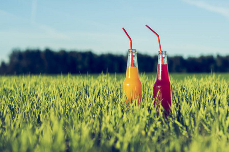 酒精党 Coctails 红色和橙色新鲜饮料在瓶站立在夏天草用稻草