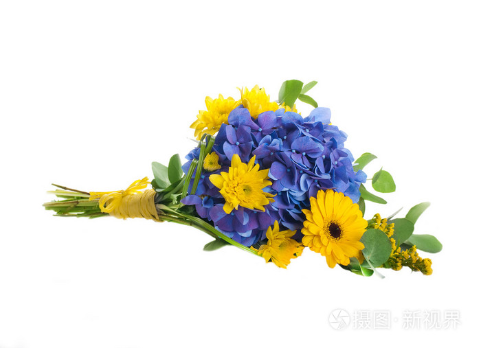 从蓝色绣球花和黄色的灾难 花卉背景的花束照片 正版商用图片05mxbw 摄图新视界 从蓝色绣球花和黄色的灾难 花卉背景的花束照片 正版商用图片05mxbw 摄图新视界