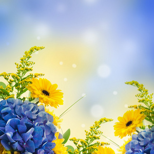 从蓝色绣球花和黄色的灾难，花卉背景的花束