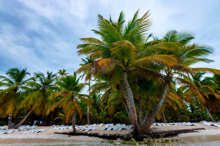 多米尼加共和国美丽的热带海岸线