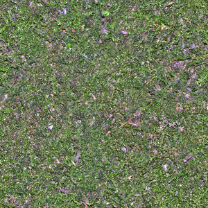 纹理的地面图片