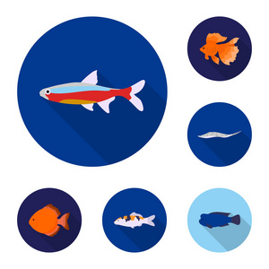 不同类型的鱼平面图标集合中的设计。海洋和水族鱼矢量符号股票网页插图