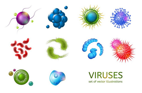 不同种类的病毒孤立向量集