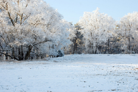 雪域景观