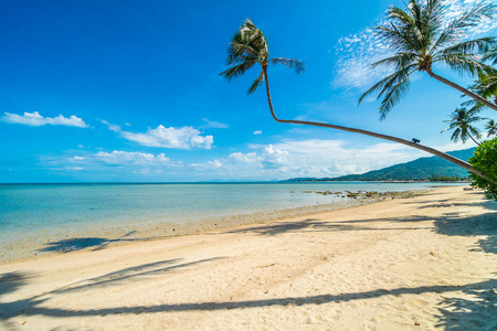 美丽的热带海滩海和沙子与椰子棕榈树在蓝天白云为旅行和假期