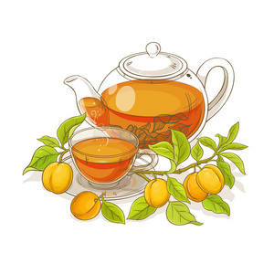 杏茶矢量图白背景照片