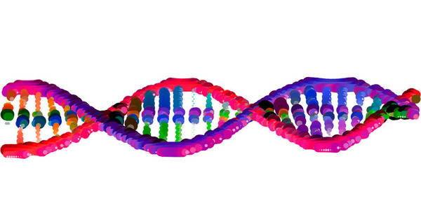 抽象的 Dna 螺旋。白色背景上的孤立。矢量图