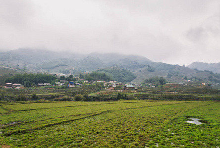 越南稻田美景