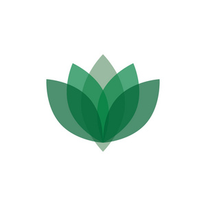 抽象水疗标志巴基斯坦卡车艺术矢量无缝图案印度卡车花卉设计与莲花叶