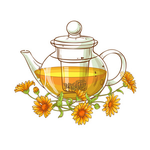 金盏花茶金盏花茶矢量插图白色背景照片