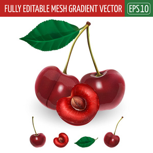 白色背景上的樱桃.矢量图照片