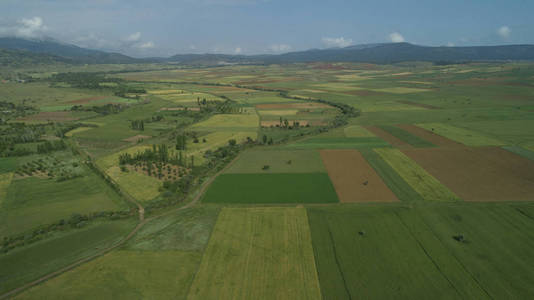 科尼亚平原/土耳其的大片农田照片