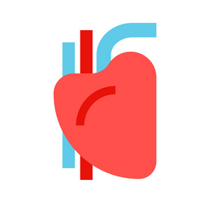 心脏人类标志。人的器官。矢量图案