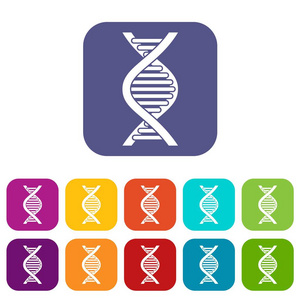 Dna 链图标集