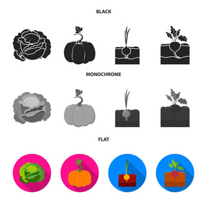 卷心菜, 南瓜, 洋葱, buriak。植物集合图标黑色, 平, 单色风格矢量符号股票插画网站