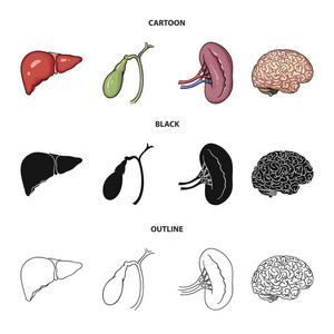 肝胆囊肾脑人体器官集合图标在卡通, 黑色, 轮廓风格矢量符号股票插画网站