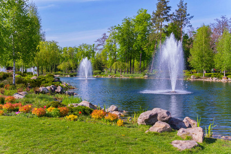 在绿色的春天公园里有一双喷泉的小池塘照片