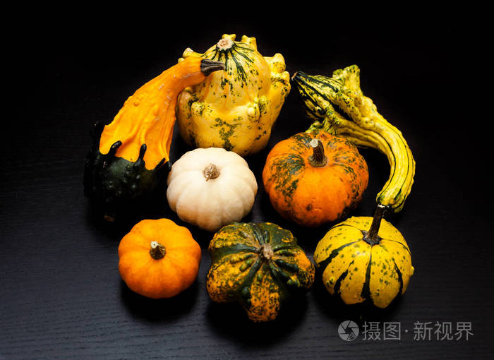 七彩南瓜和南瓜