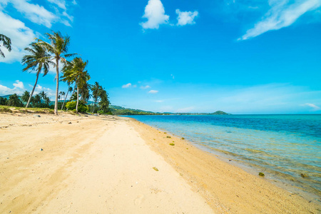 美丽的热带海滩和海与椰子棕榈树在天堂海岛