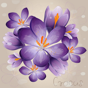 用树叶和草叶片的浪漫淡紫色番红花